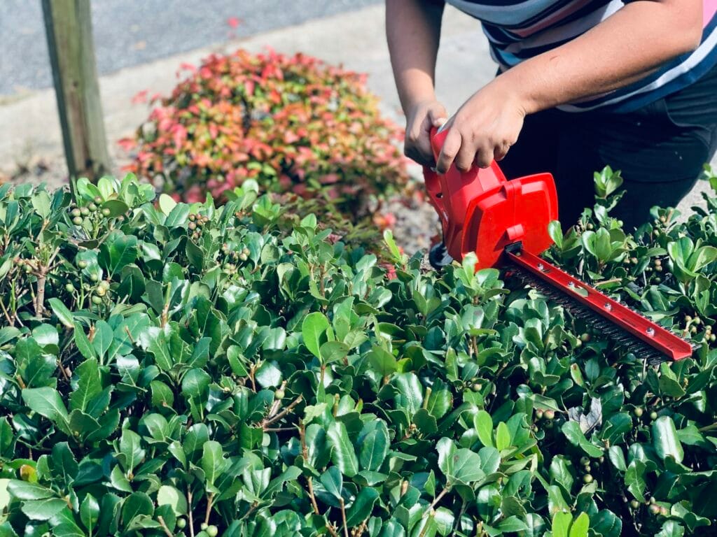 Hedge trimming